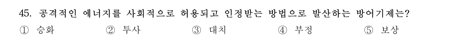 청소년지도사_1급(1교시) 2015년 45번 기출문제